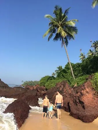 Blue Mermaid Appartamento Kannur India
